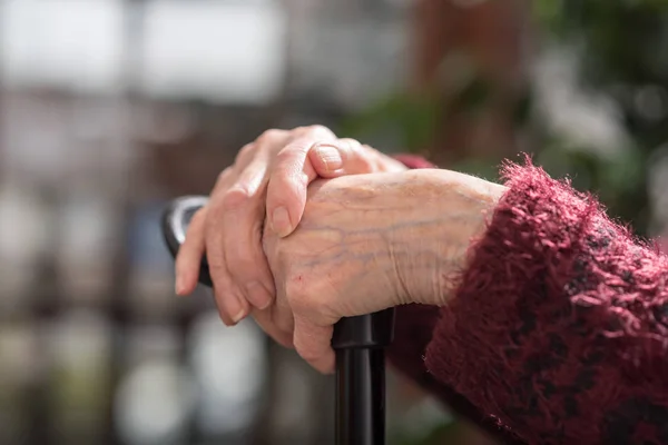 Hands of an old person on cane — Stock Photo, Image