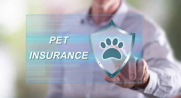 Man touching a pet insurance concept on a touch screen