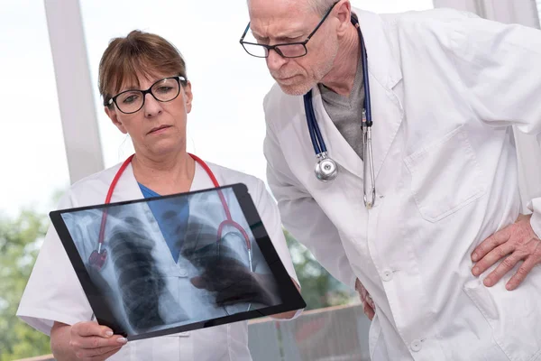 Два врача изучают рентгеновский отчет — стоковое фото