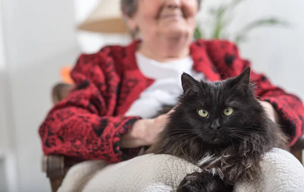 Oude vrouw met haar kat — Stockfoto