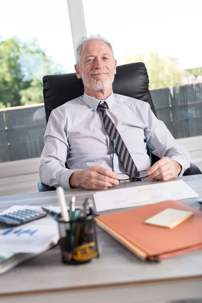 Porträt eines lächelnden reifen Geschäftsmannes — Stockfoto