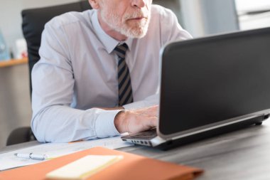 Olgun işadamı bir dizüstü bilgisayar kullanarak