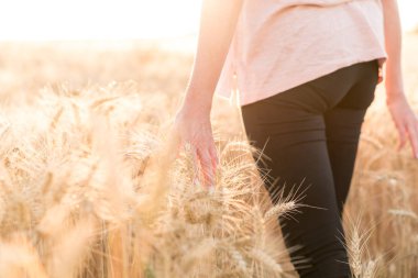 Yürüyüş ve kulakları buğday, güneş ışığı etkisi dokunmadan kadın