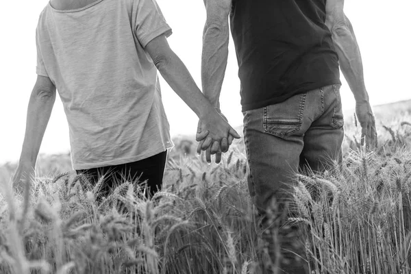 Pareja cogida de la mano en un campo de trigo al atardecer, blanco y negro —  Fotos de Stock