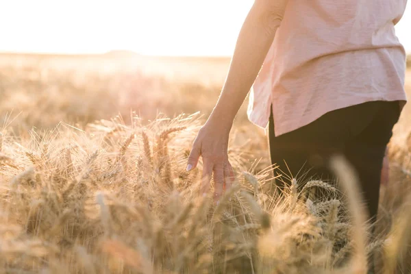 Gün batımı, güneş ışığı etkisi buğday alan bir kadında