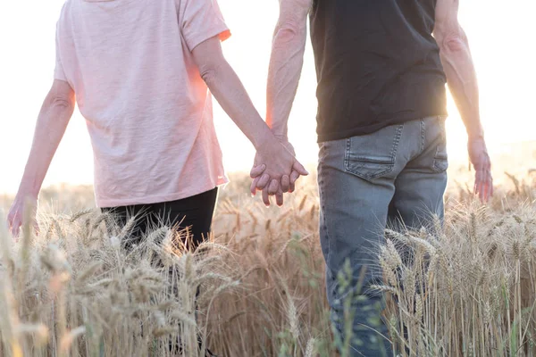 Couple tenant la main dans un champ de blé au coucher du soleil, effet soleil — Photo