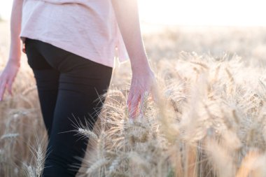 Yürüyüş ve kulakları buğday, güneş ışığı etkisi dokunmadan kadın