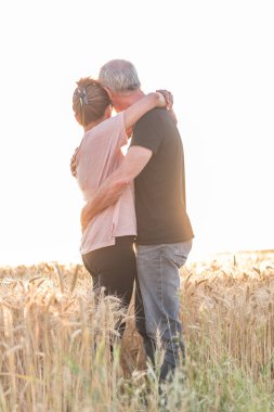 Üst düzey çift birbirlerine bir buğday alanında, güneş ışığı ef kucaklayan
