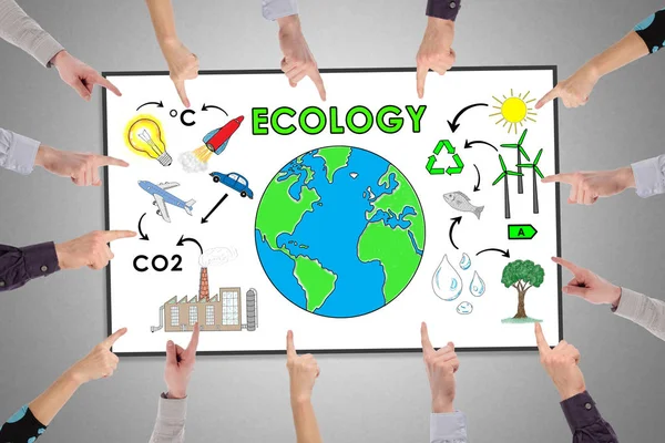 Ökológia fogalma a táblára — Stock Fotó