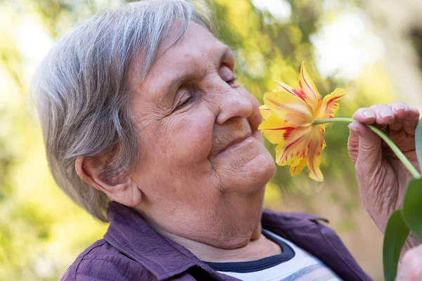 Retrato de una anciana oliendo un flowe — Foto de Stock
