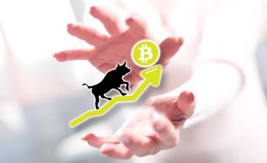 Bitcoin boğa trendi kavramı