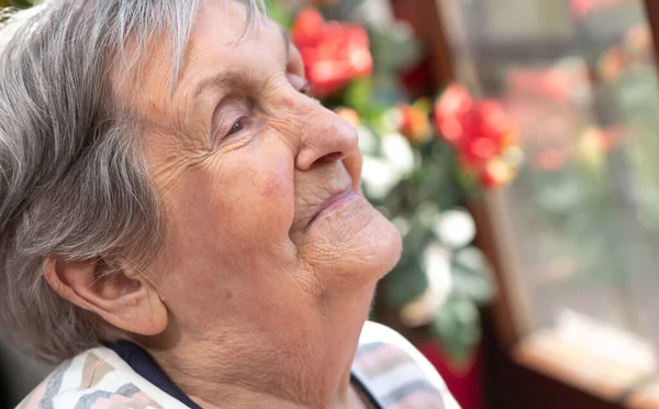 Retrato Anciana Mirando Por Ventana Soñando — Foto de Stock