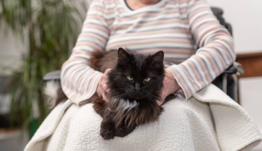 Yaşlı kadın ile onun evde beslenen hayvan oturma