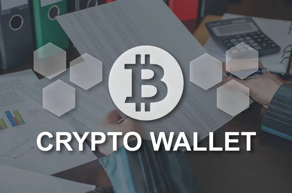 Crypto Wallet Concept Illustrated Picture Background — Stock Photo, Image