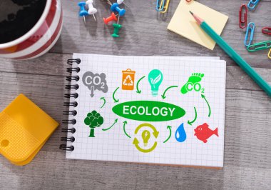 Masaya bırakılmış bir not defterine ekoloji konsepti