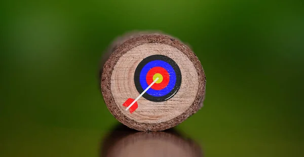 Concept of target marketing with a target on a wooden log