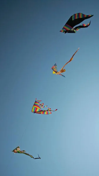 Kleurrijke Vliegers Zweven Strandlucht Wind — Stockfoto