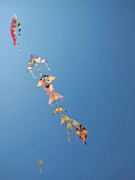 Colorful Kites Silhouetted Sky Wind Breaths — 스톡 사진