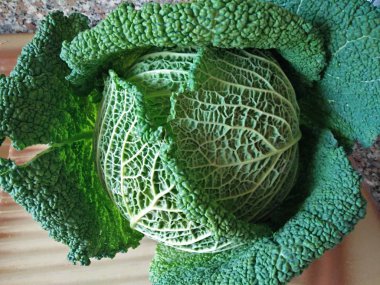 a splendid cabbage photographed on a banquet of an italian local market