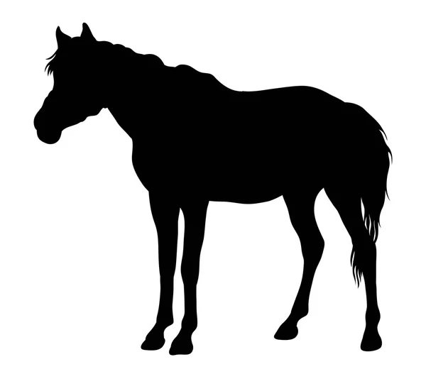 Silueta de vector de arte caballo — Vector de stock