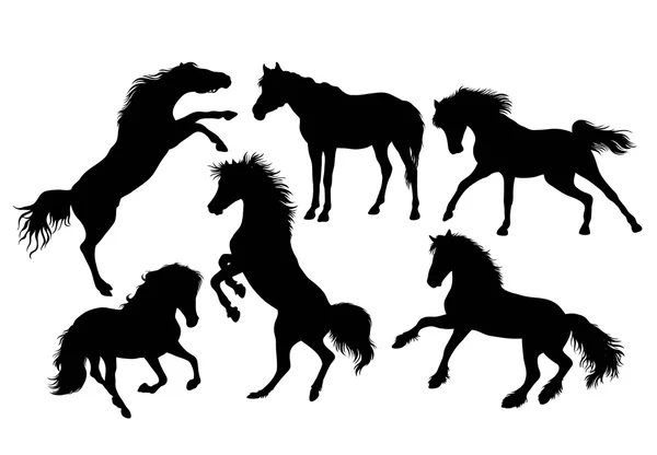 Horse Art Vector Silhouettes — Stock Vector