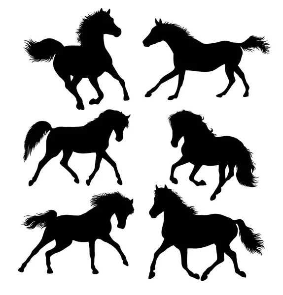 Дикі коні тварин вектор — стоковий вектор