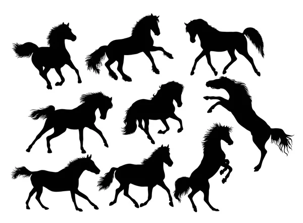 Caballo Animal vector e Siluetas salvajes — Vector de stock