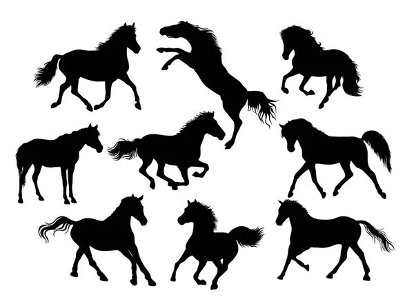 Silhueta de Ação e Atividades Cavalos —  Vetores de Stock