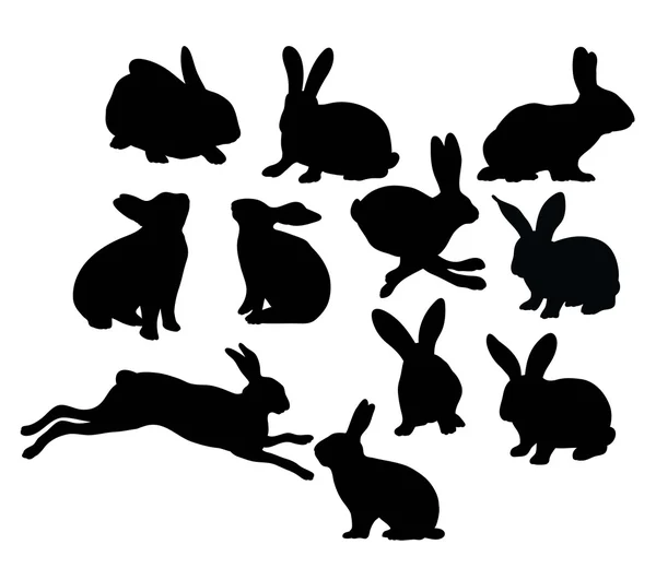 Cute Rabbit Activity Silhouette — Stock Vector