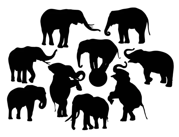 Elefantenvektorsilhouetten — Stockvektor
