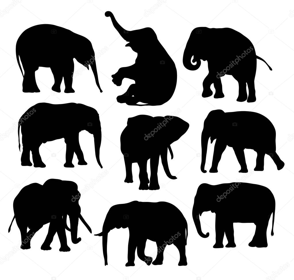 Elephant Vector silhouettes