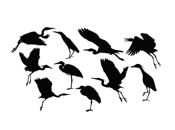 Heron Και Stork Bird Silhouettes Τέχνη Διάνυσμα Σχεδιασμό — Διανυσματικό Αρχείο