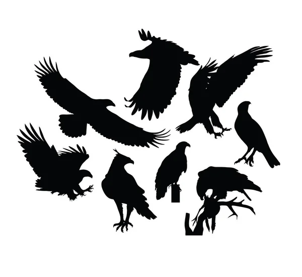 Eagle Bird Silhouettes Design Vectoriel Art — Image vectorielle