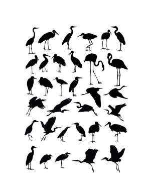Heron, Egret ve Stork Bird siluetleri, sanat vektörü tasarımı