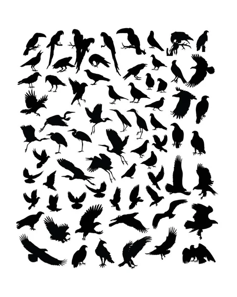 Bird Animal Attività Silhouette Arte Vettoriale Design — Vettoriale Stock