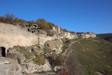 Tsaritsino Sarayı 'nın kış ormanları ve çatıları