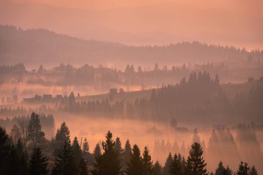 Karpatların tepeleri ve dağları, ağaçlar ve köy sisle kaplıdır. Pembe şafak güneşiyle aydınlanır..