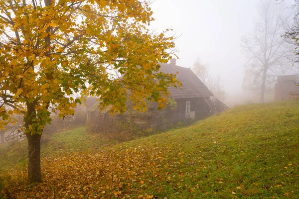Herbstnebel Den Karpaten Verlassenes Holzhaus Ahorn Mit Gelben Blättern Vordergrund — Stockfoto