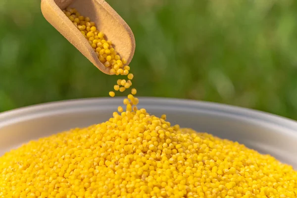 Close Bright Yellow Millet Spilling Out Wooden Scoop Plate — Stock Photo, Image