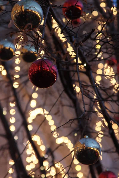 枝にクリスマスの装飾 — ストック写真