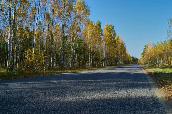 beautiful road in early autumn
