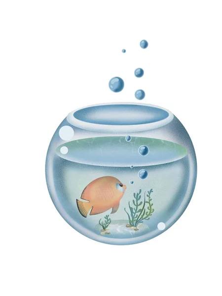 Acquario Con Pesci Illustrazione — Foto Stock