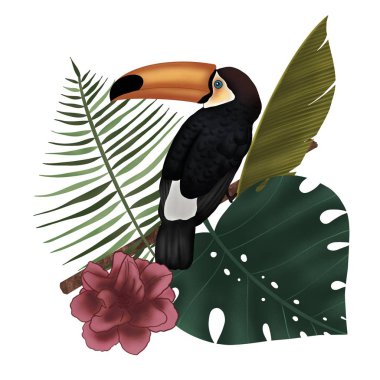 Ormandaki bir dalda tukan 