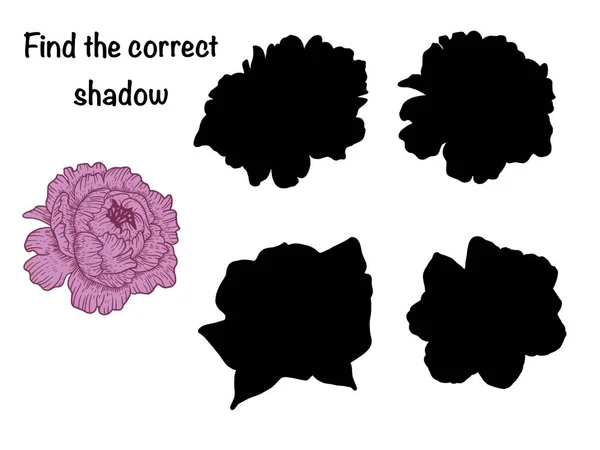 Find Correct Shadow Logical Childrens Game — Stock Photo, Image