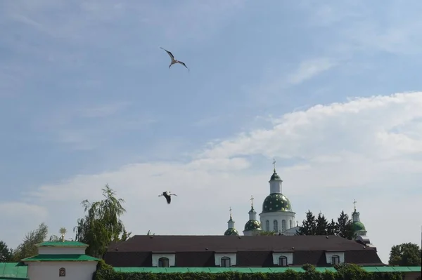 Storks Fly Very Ancient Mgar Monastery Monastery Located Beautiful Amazing Stock Picture