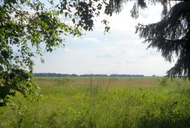 Daha mayıs ayındayız ve güneşe sıcak bir ağustos gibi bakamazsın. Bitki örtüsü, ağaçlar hala parlak yeşil ve çimenler şimdiden sararmaya başladı. Arka plan olabilir..
