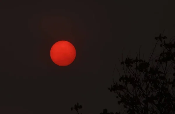 During sunset, a strong dust storm rose.Shown sun unusual color during a dust storm.