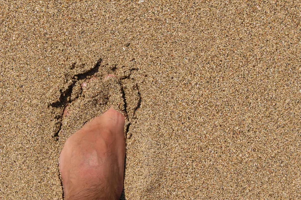 Pie Izquierdo Masculino Desnudo Cubierto Con Arena Fina Playa Falassarna —  Fotos de Stock