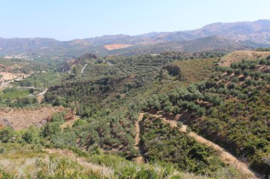 Yunanistan 'ın Girit Adası' nın batı kesiminde, Fournes 'teki zeytin ağaçları, tepeler ve tarlalarla manzara.