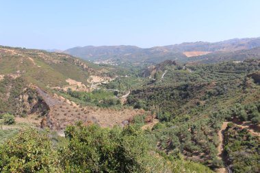 Yunanistan 'ın Girit Adası' nın batı kesiminde, Fournes 'teki zeytin ağaçları, tepeler ve tarlalarla manzara.